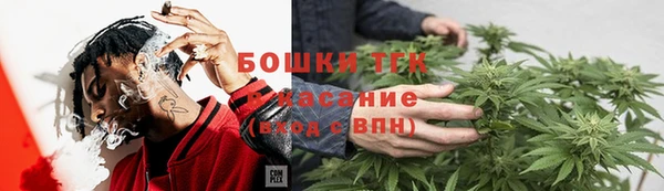 ECSTASY Богородск
