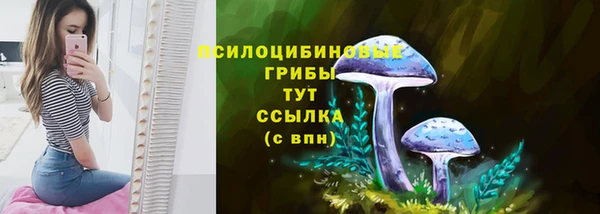 марки lsd Богородицк