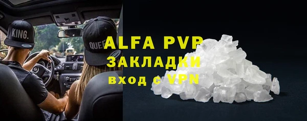 ECSTASY Богородск