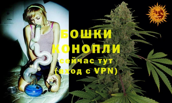 экстази Богданович