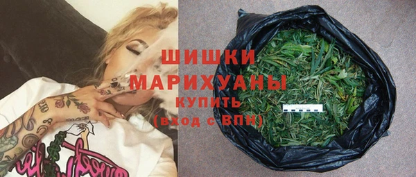 ECSTASY Богородск